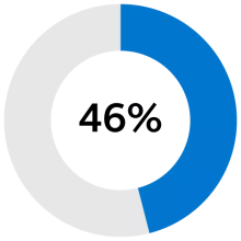 Pie chart conveying 46%
