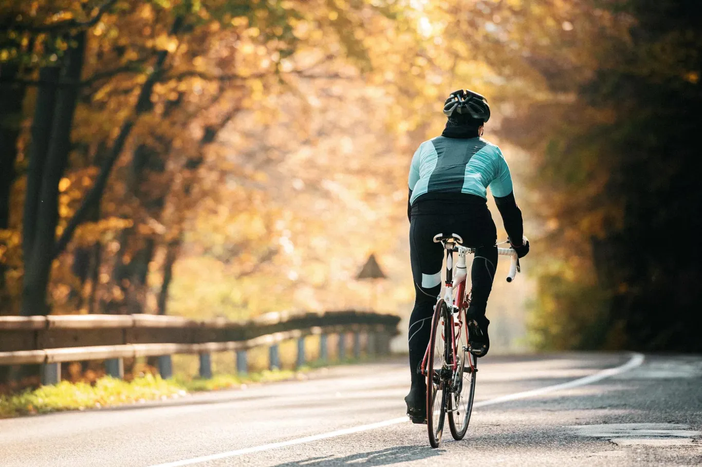 Person riding a bicycle on a road with trees in the background